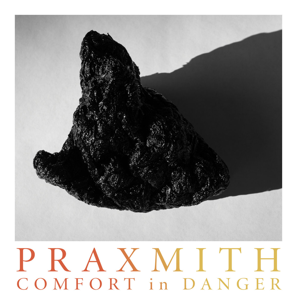 New Release - PraXmith: Comfort in Danger